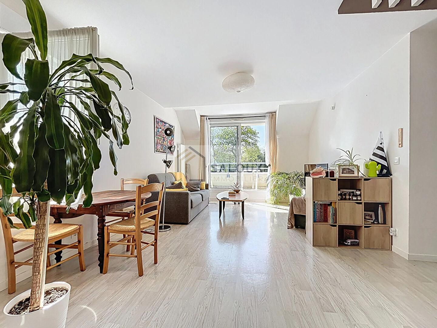 Photo VENTE T3 de 59m² - AMBON image 4/6