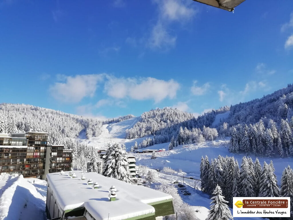 Photo VENDU ! image 1/6