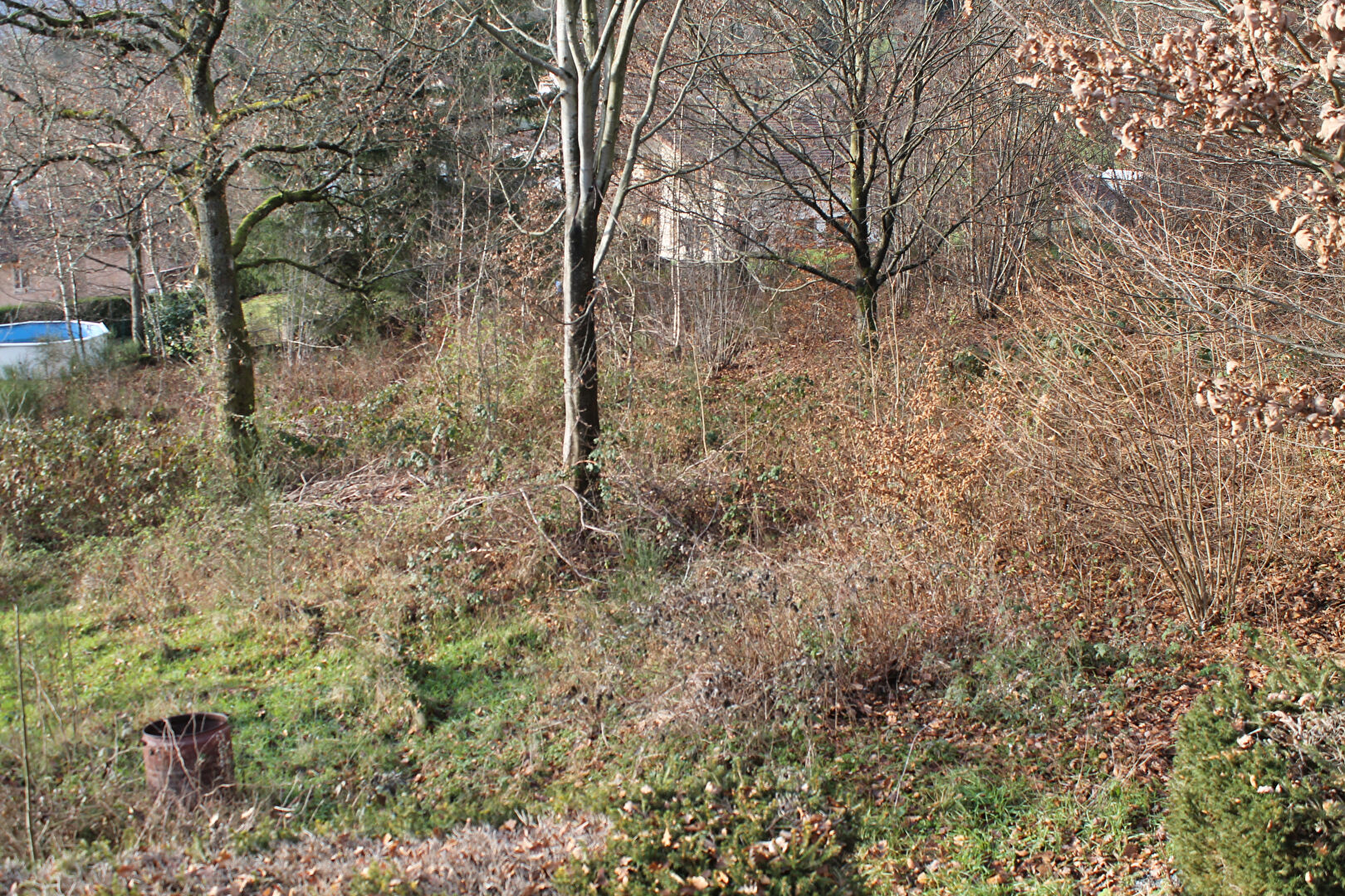 Photo COMPROMIS SIGNE  ! EN EXCLUSIVITE ! GRAND TERRAIN CONSTRUCTIBLE DE PLUS DE 1200M2 SURPLOMBANT LE MENIL ! image 2/4