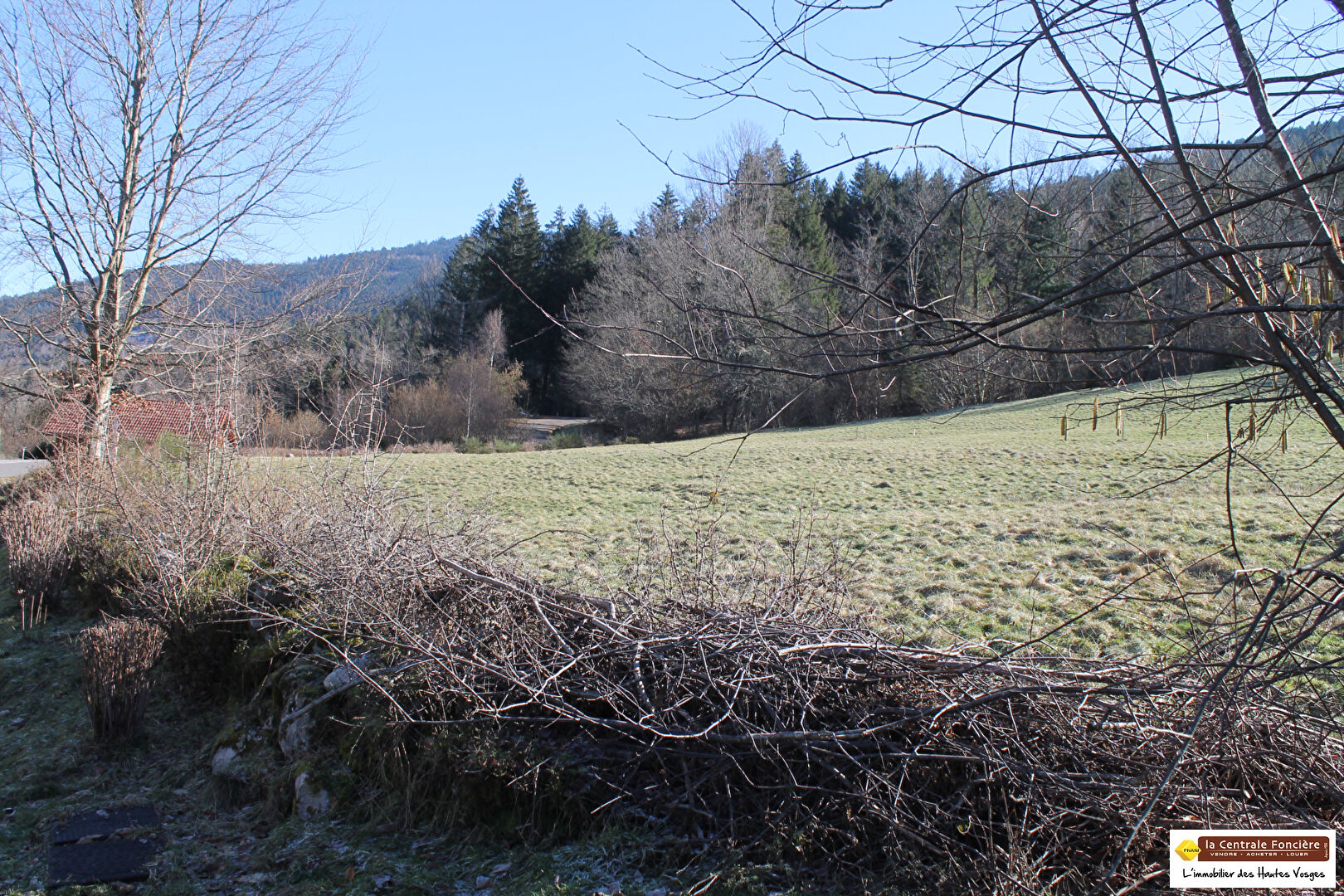 Photo COMPROMIS EN COURS ! EN EXCLUSIVITE ! GRAND TERRAIN PLAT CONSTRUCTIBLE DE 2278M2 A 5 MINUTES DE LA BRESSE image 1/1
