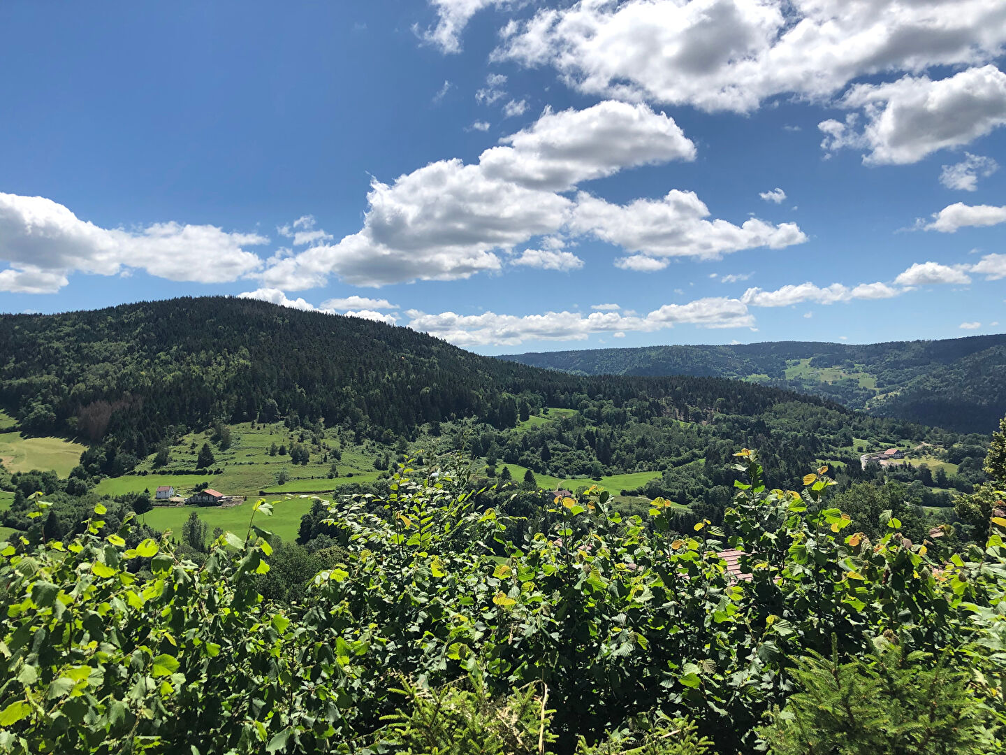 ENVIRONNEMENT DEPAYSANT CHALET 3 PIECES 42 M² TRES BELLE VUE