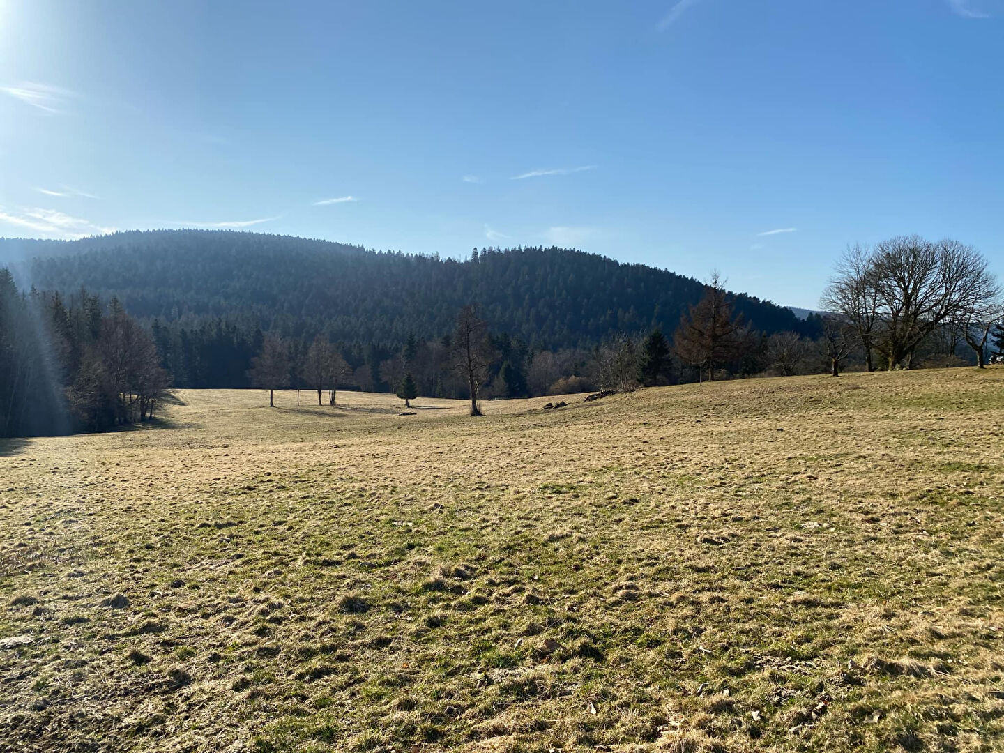 TERRAIN D'EXCEPTION A LIEZEY 19 000 m²