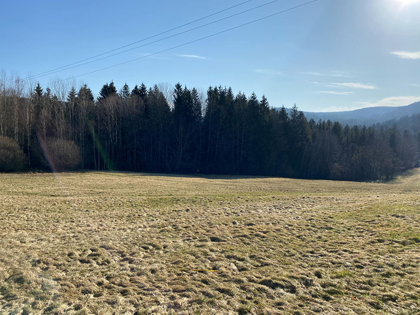 Photo TERRAIN D'EXCEPTION A LIEZEY 19 000 m² image 2/4