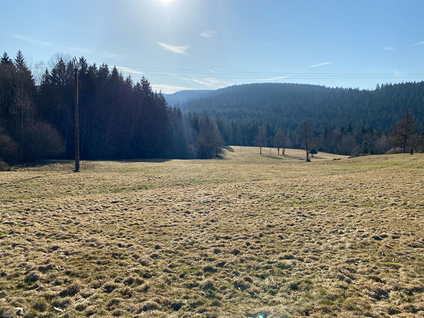 Photo TERRAIN D'EXCEPTION A LIEZEY 19 000 m² image 3/4