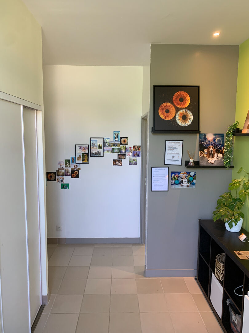 Visuel 3 de l'annonce : Plouzané - Local commercial 56m2