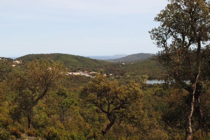 Domaine forestier La Londe-les-maures
