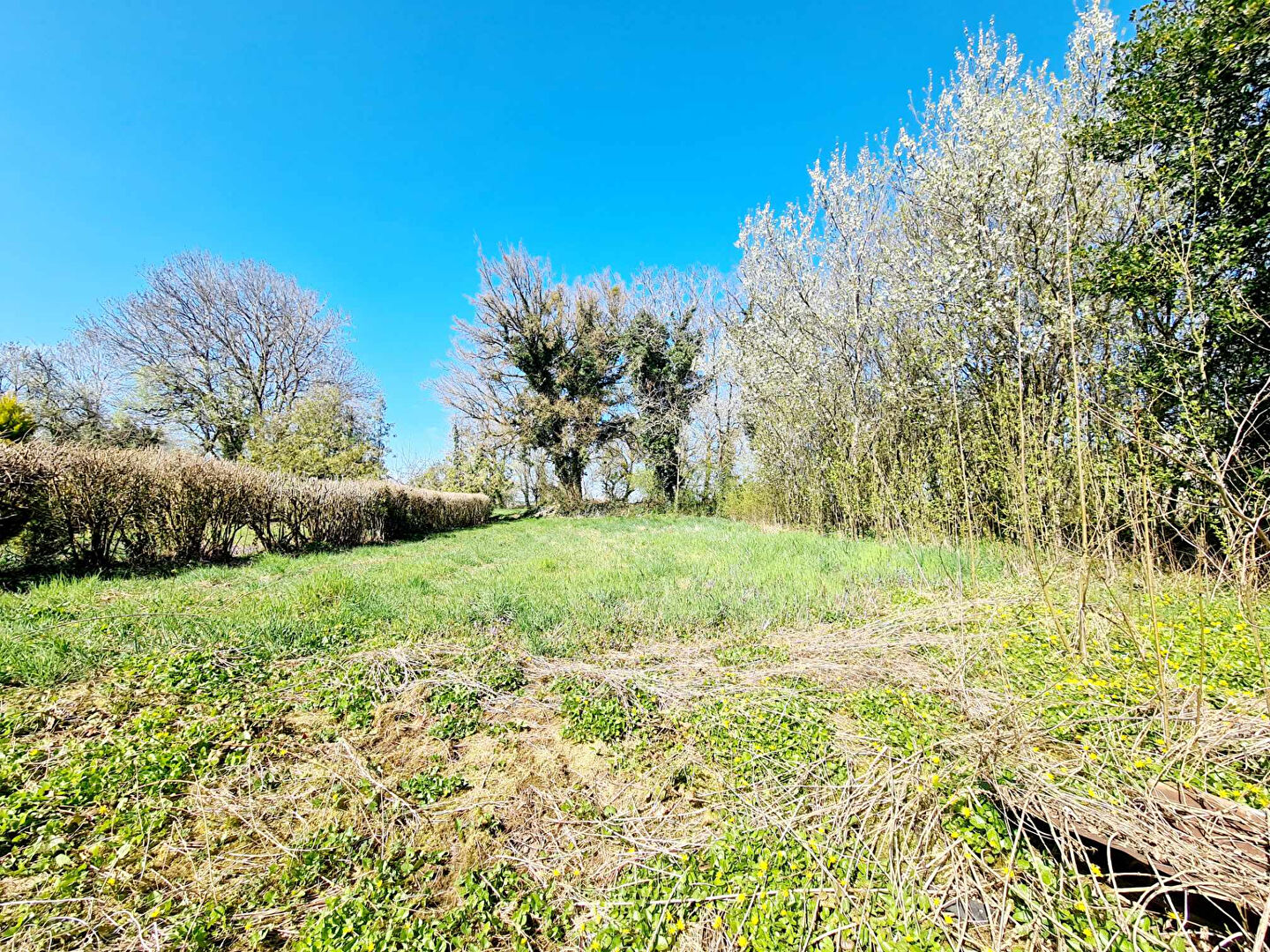 Agence immobilière de ERA NOTANA IMMOBILIER