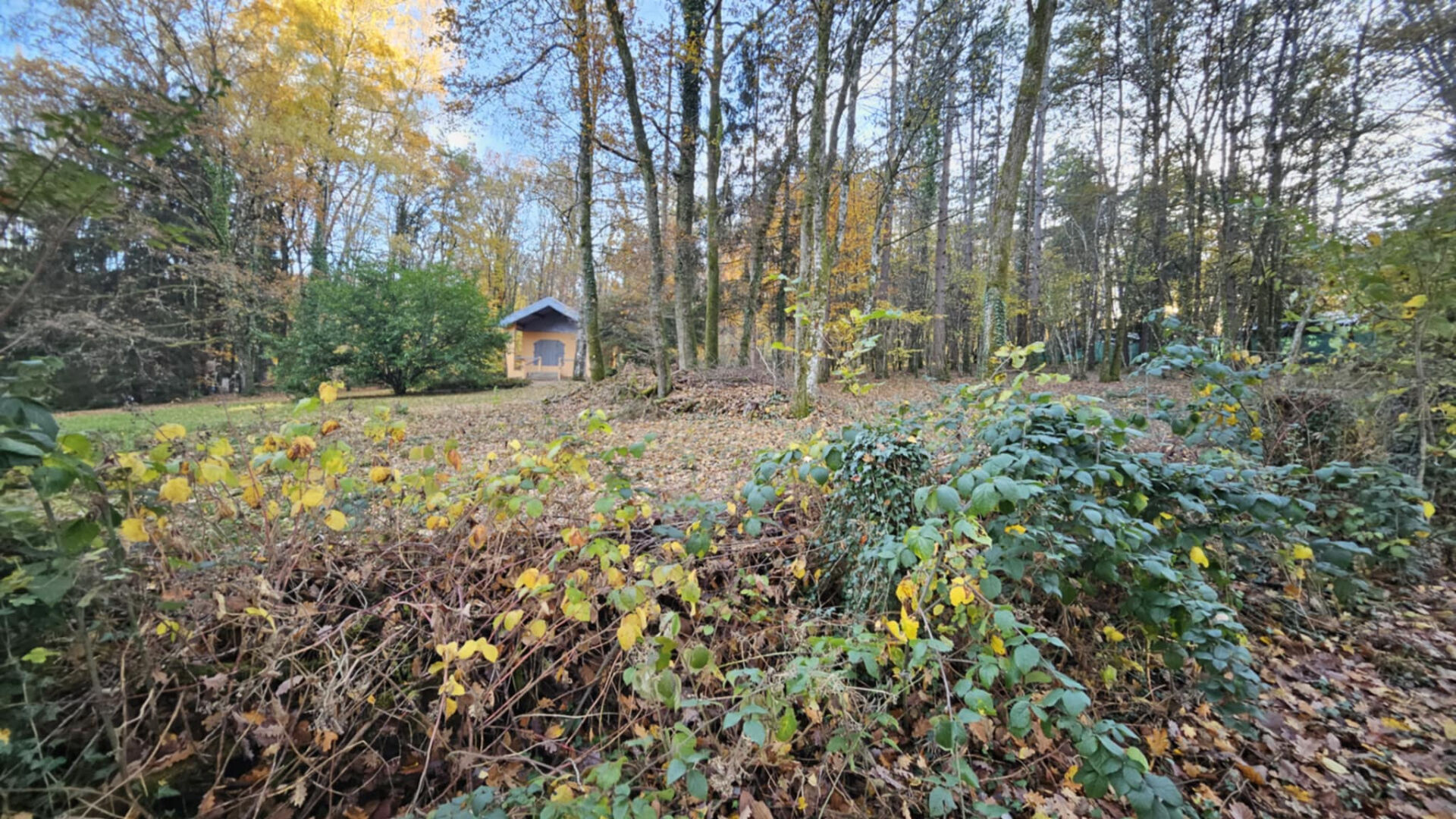 Chalet au milieu des bois