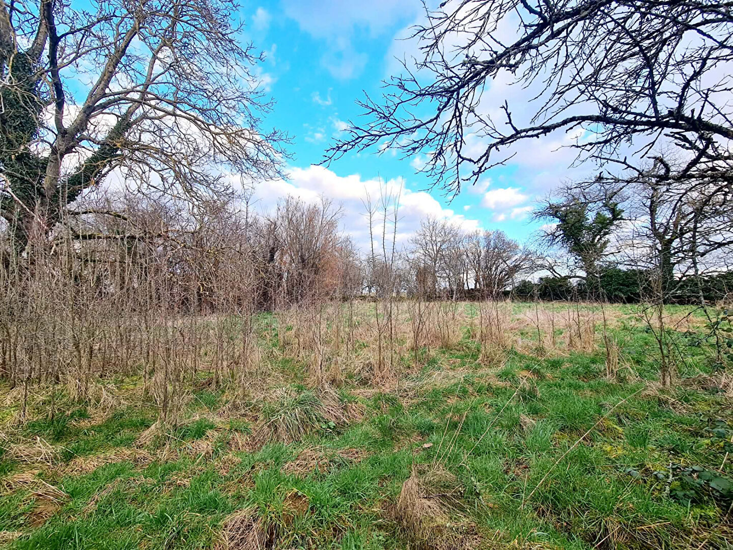 Agence immobilière de ERA NOTANA IMMOBILIER