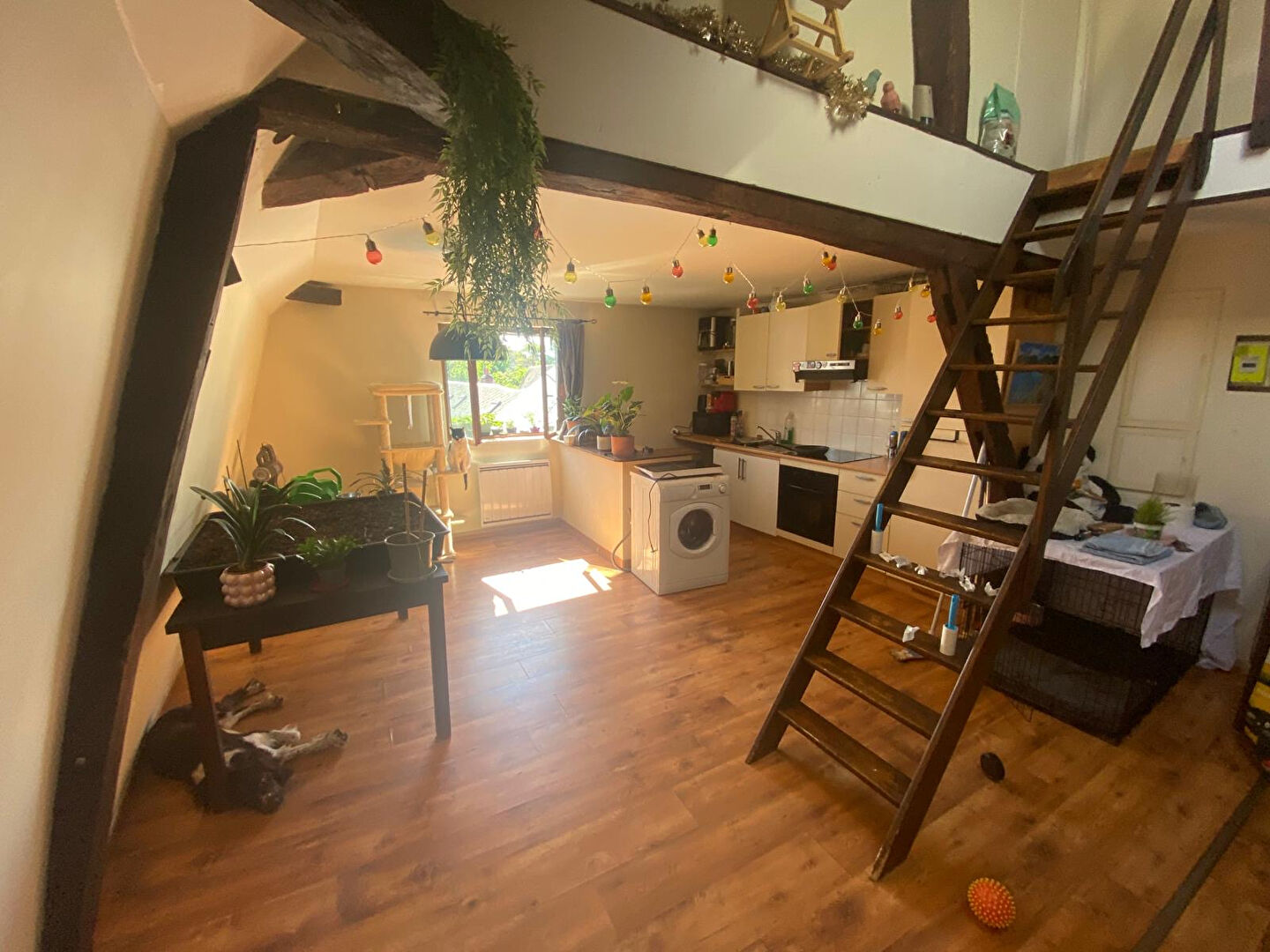Agence immobilière de Era Immobilier Richard - Nevers