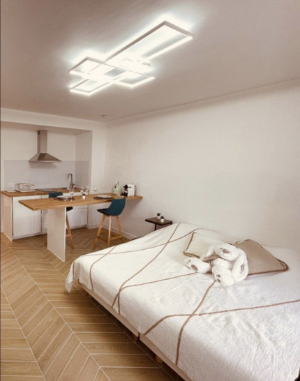 Photo STUDIO refait à neuf de 26m²  - Disponible début Octobre image 3/6