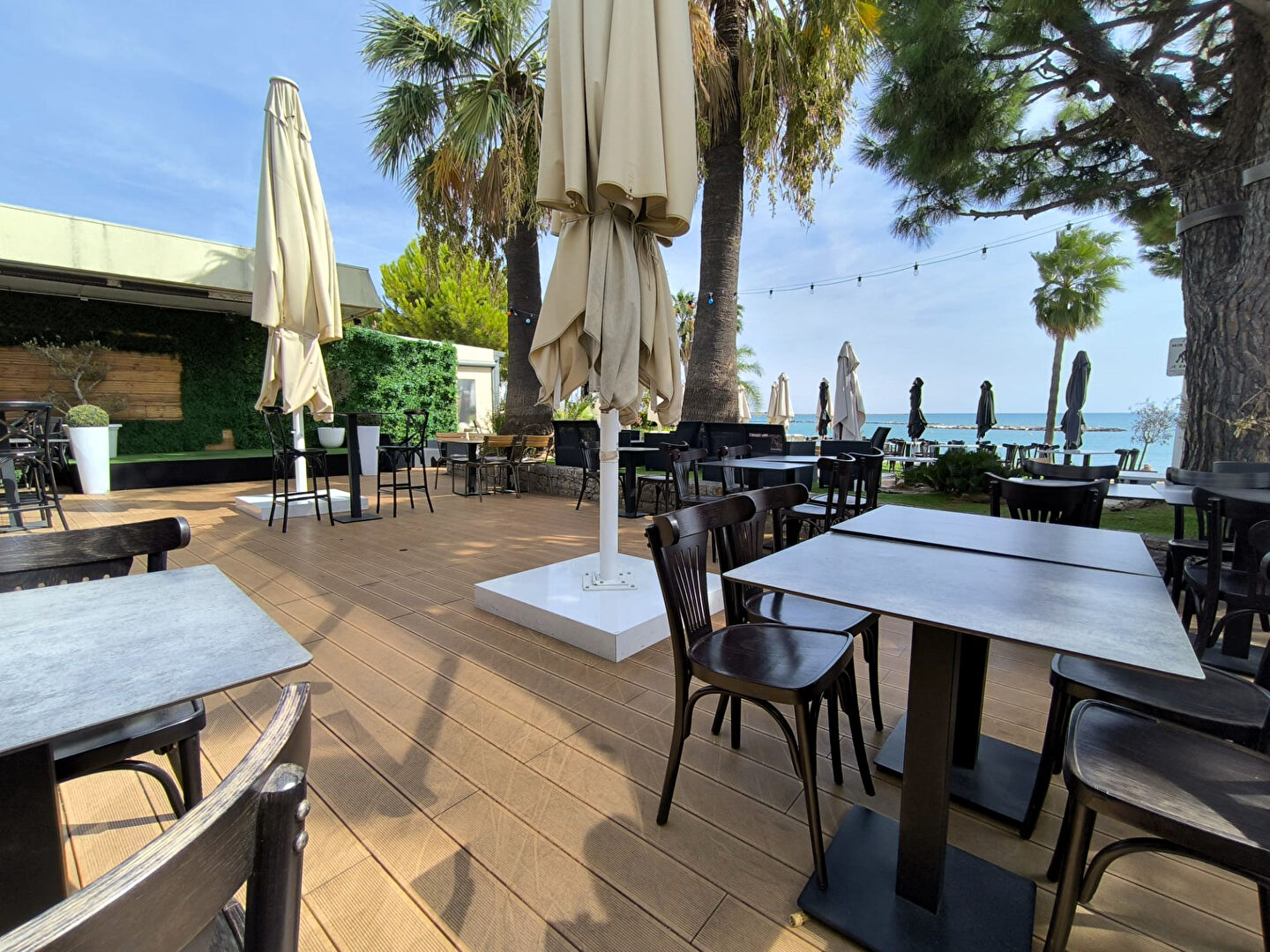 Cession de fonds de commerce Restaurant & Bar