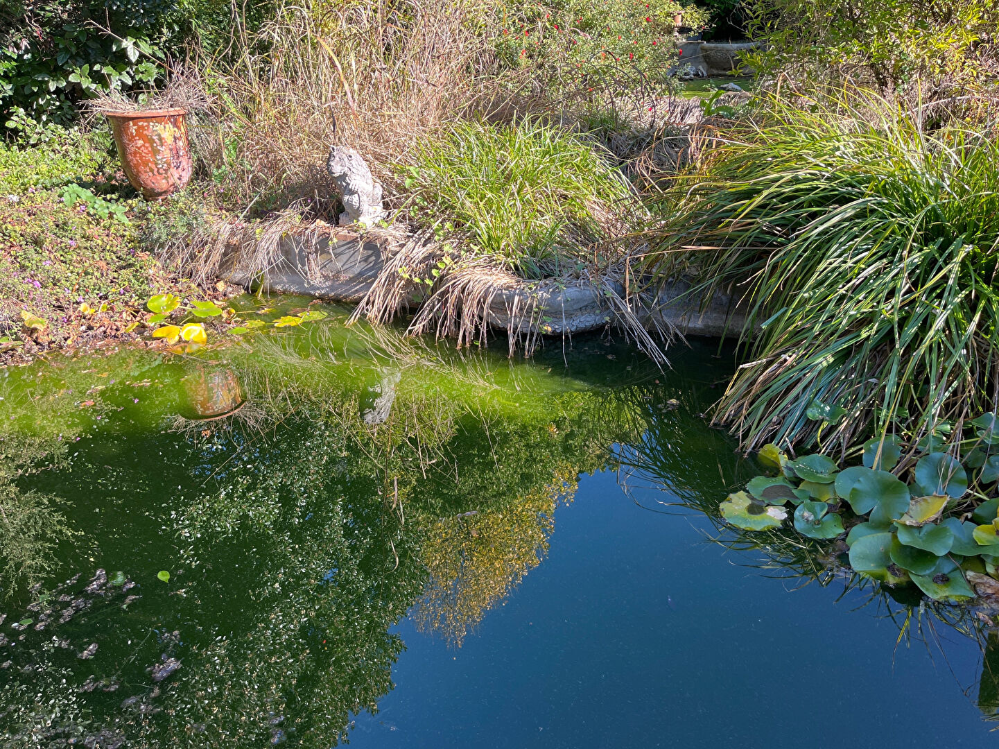 Photo Magnifique Villa 514m² et 3410m² terrain Vence vue mer image 6/6