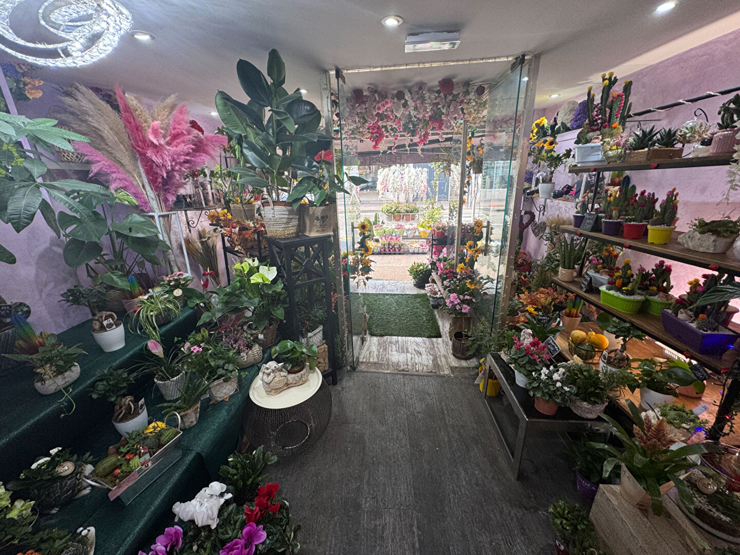 Photo À vendre - Fonds de commerce Fleuriste - Cagnes-sur-Mer Centre image 3/6