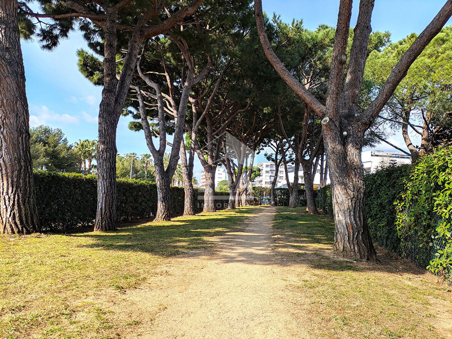 Agence immobilière de ERA MARESOL IMMOBILIER - CAGNES SUR MER