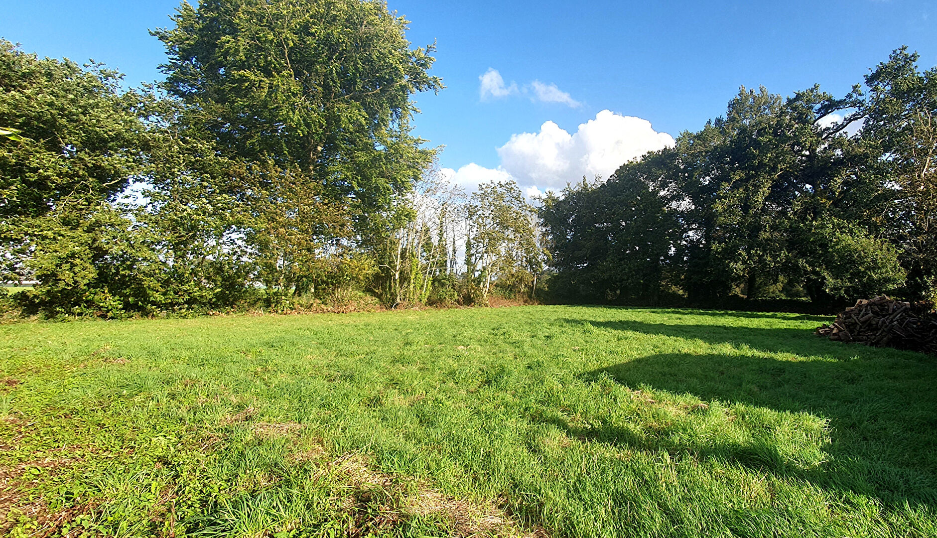 Terrain Locunole 1516 m2