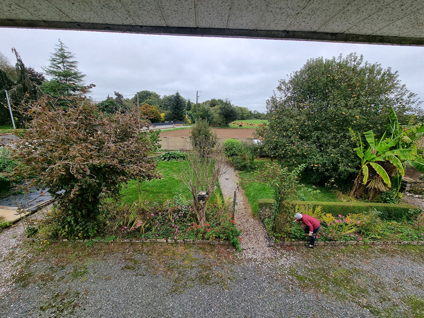 Photo Maison à vendre à Mellac - 7 pièces, 4 chambres, jardin image 3/6