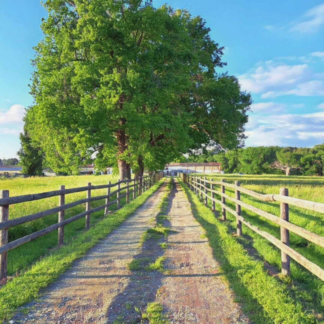 Propriété Reignac environ 3 hectares