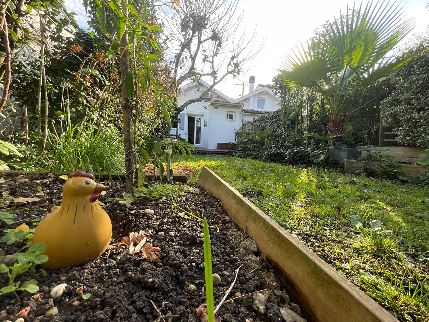 Photo 33100 BORDEAUX Bastide- Maison à vendre image 1/6