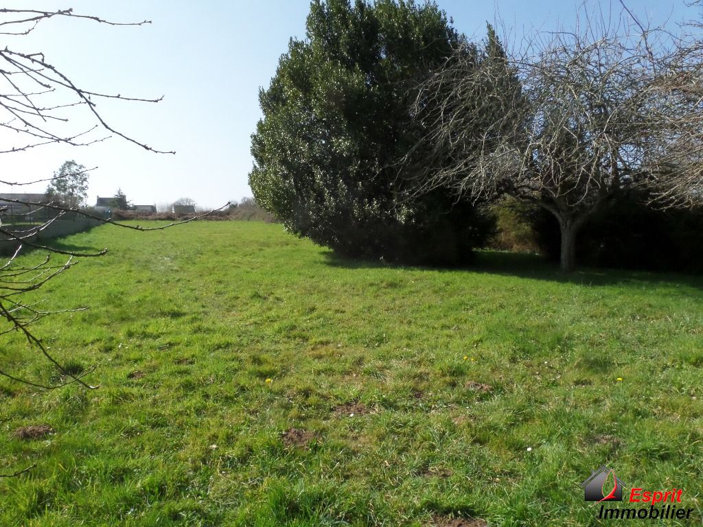 Photo EXCLUSIVITE: Maison Nevez 107m² 3chb image 3/6