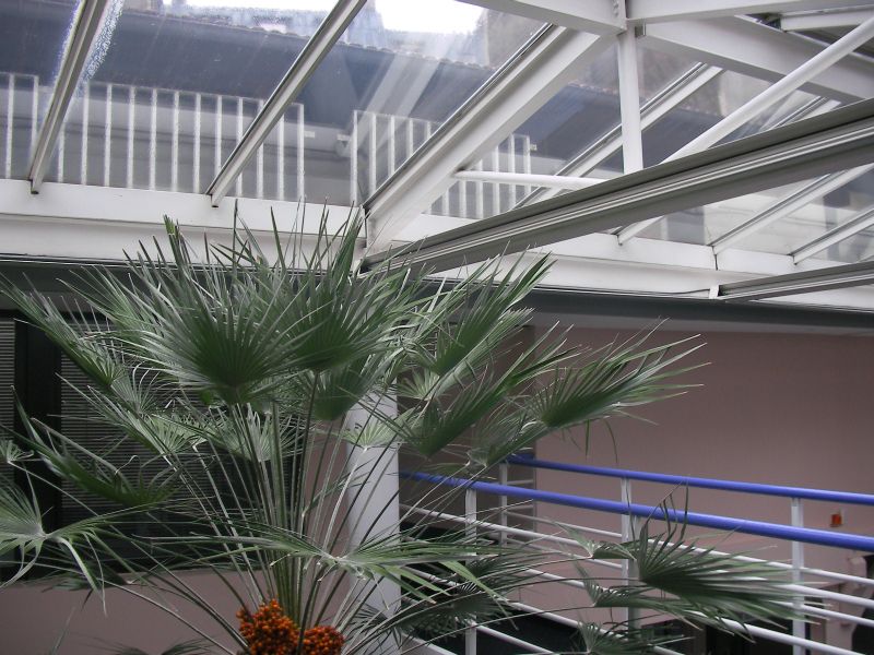 PARIS 5è LOCAL 895M2