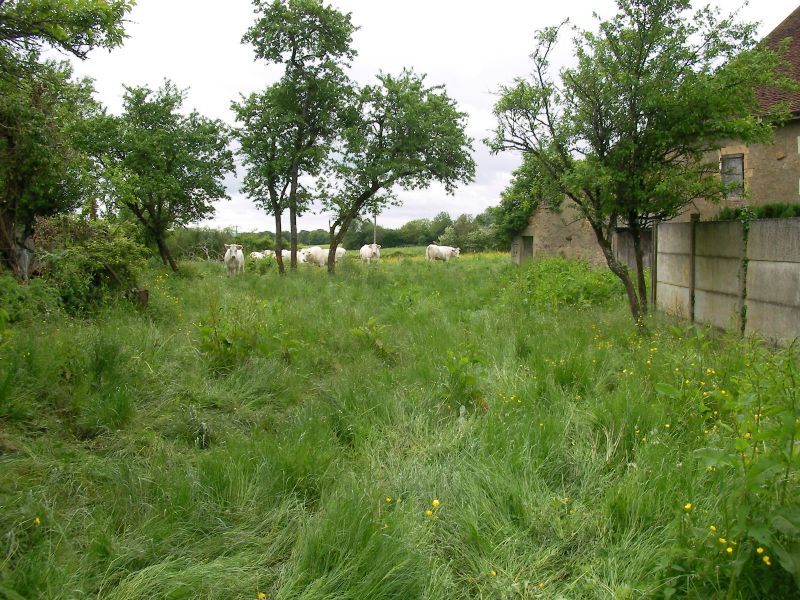 Photo Nièvre Maison Colmery 2 pièces image 2/5