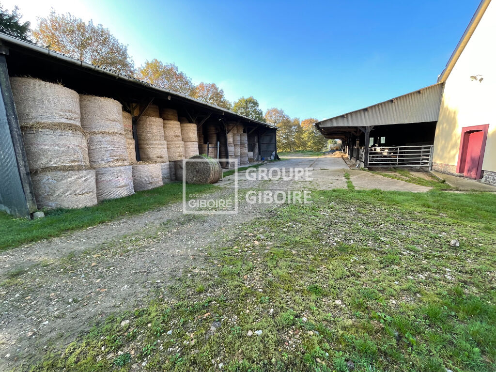 A VENDRE - Agence GIBOIRE PACE - Longère de 130 m² environ avec plusieurs dépendances à Saint Gilles étang de la motte