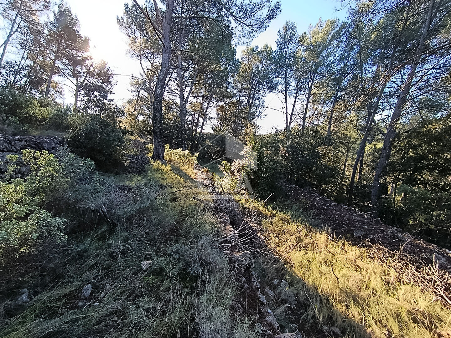 Agence immobilière de ERA Golf Agence