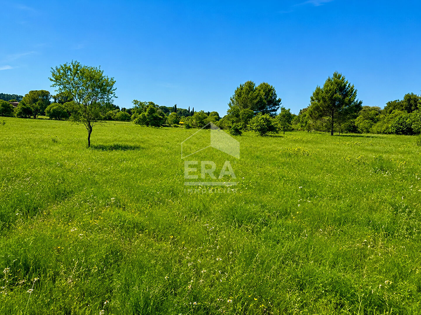 Agence immobilière de ERA Golf Agence