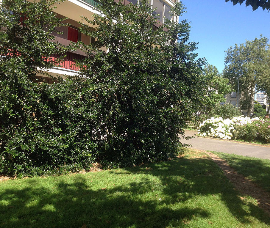 Appartement T2 à Rennes
