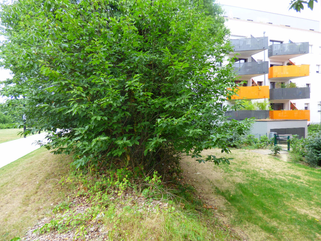Appartement T4 à Rennes