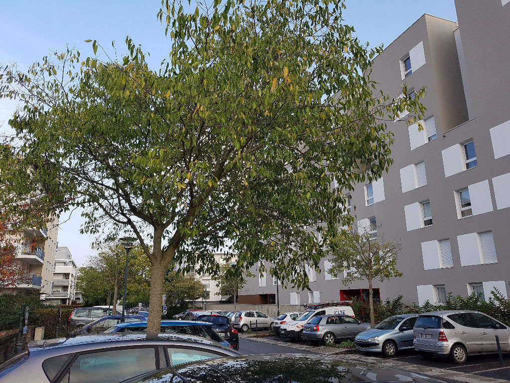 Appartement T3 à Rennes