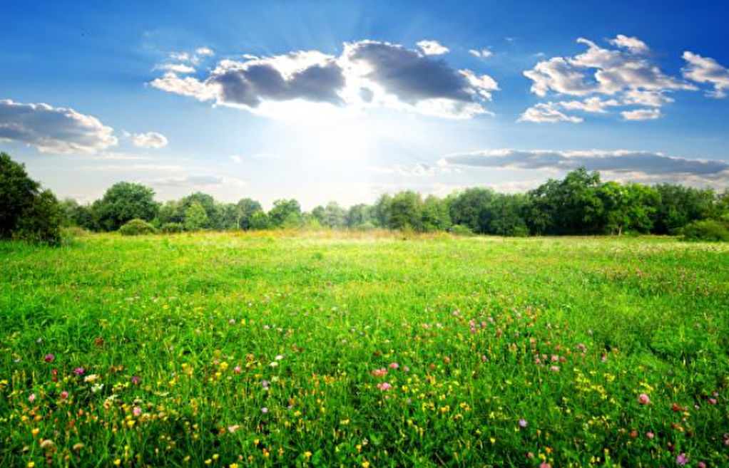 Terrain  à Vern sur seiche