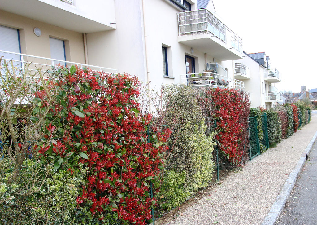 Appartement T4 à Saint thurial