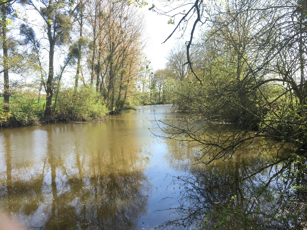 Maison T12 à Noyal chatillon sur seiche