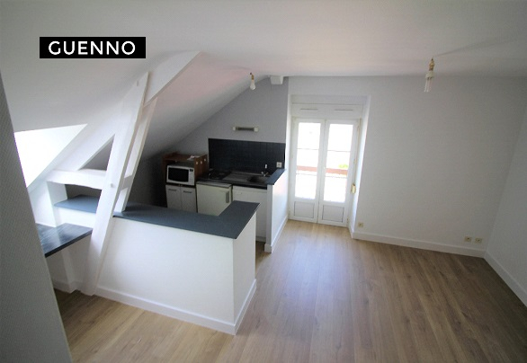 Appartement T1 à Pont pean