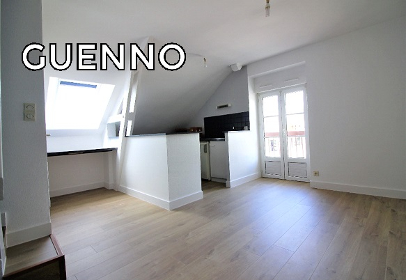 Appartement T1 à Pont pean