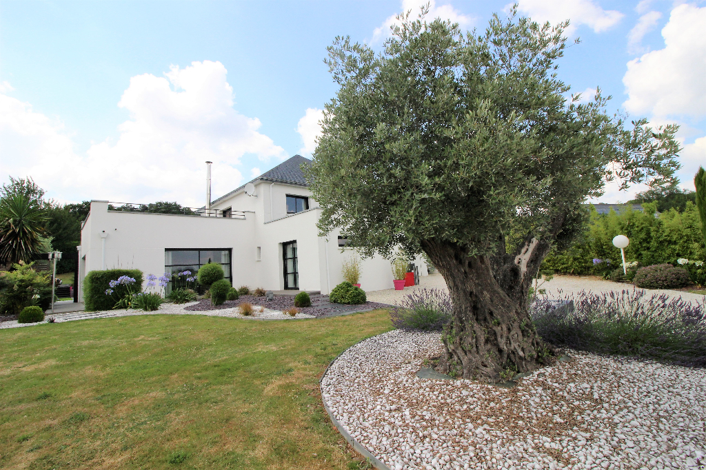Maison T8 à Saint senoux