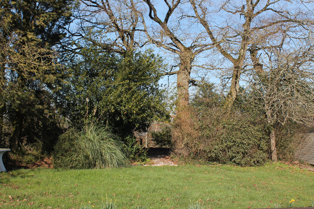 Maison T6 à Saint thurial