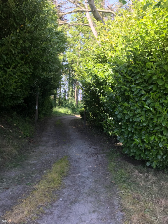 Maison T7 à Pleslin trigavou