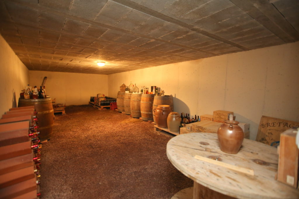 Maison T11 à Hede bazouges