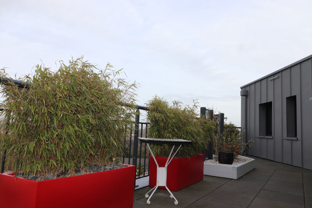 Appartement T5 à Rennes