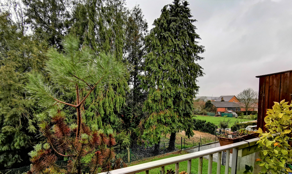 Appartement T6 à Saint gilles