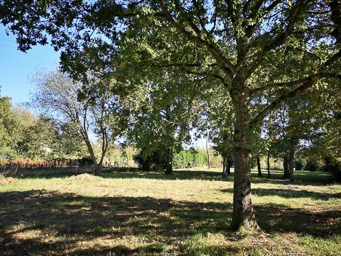 Terrain  à Aucaleuc