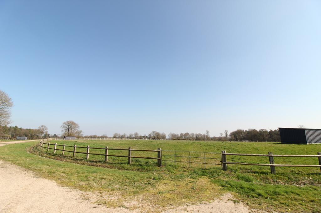 Terrain  à Baulon