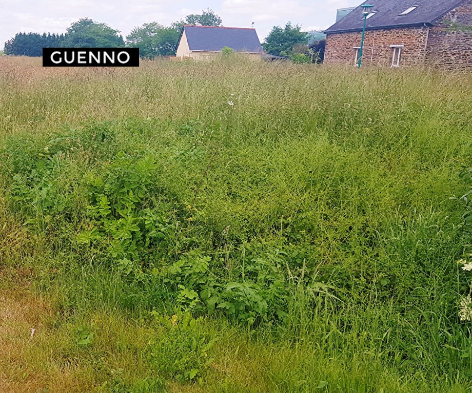 Terrain  à Pont pean