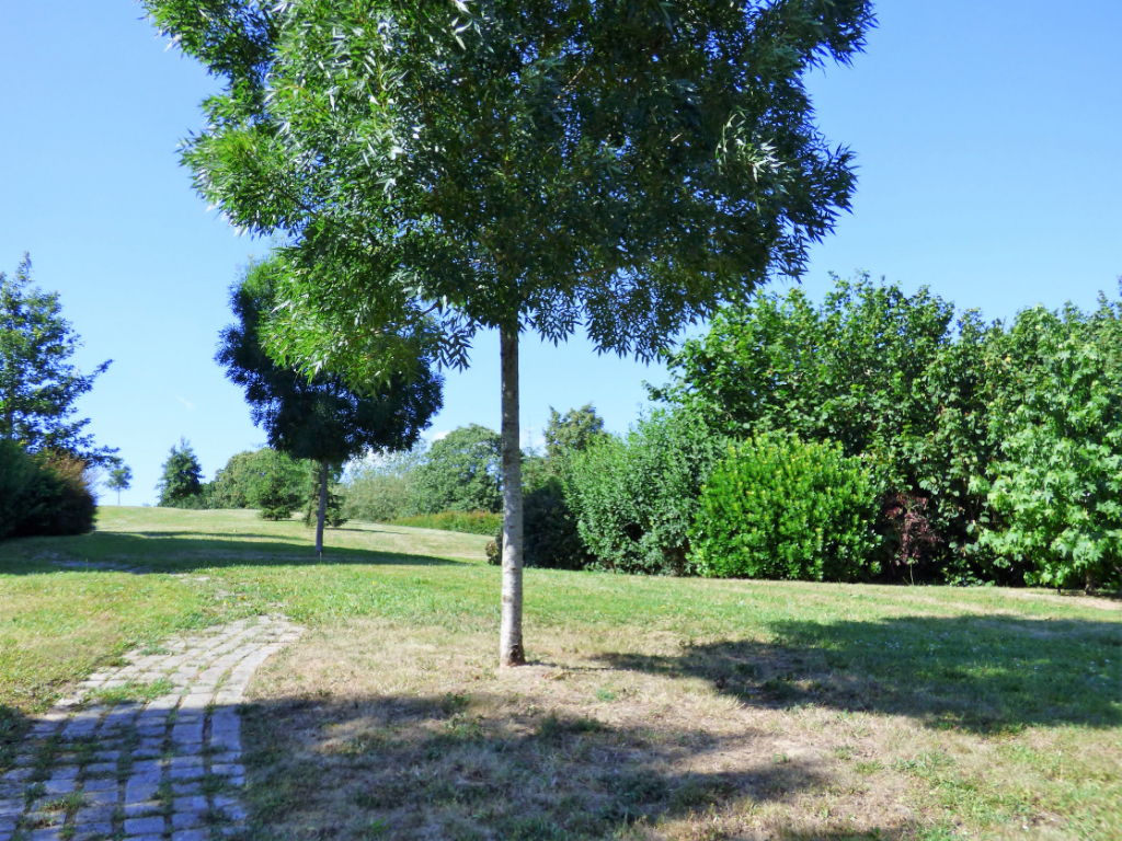 Appartement T2 à Saint gregoire