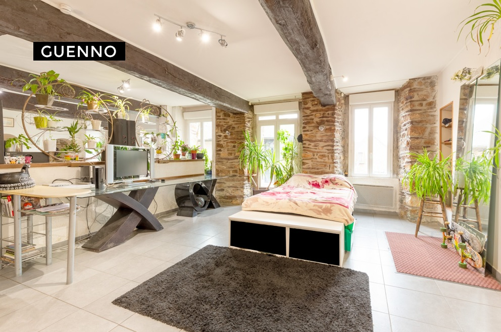 Maison T9 à Baulon