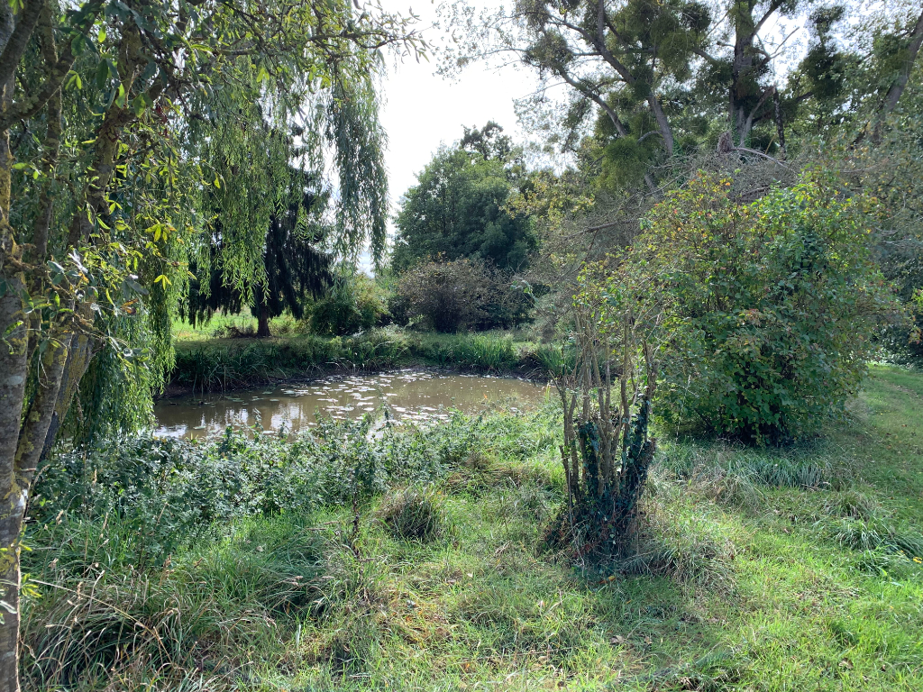 Maison T0 à Yvignac la tour