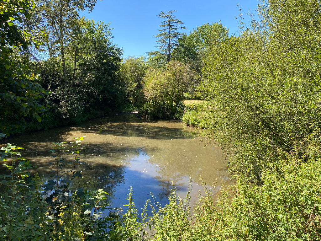 Appartement T2 à Pace
